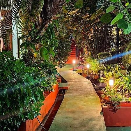 Hospedaje Jose Gorgues Puerto Iguazú Eksteriør billede